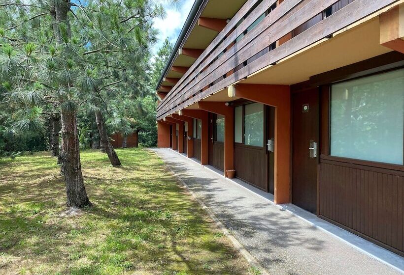 Номер Стандарт, Kyriad Direct Roanne