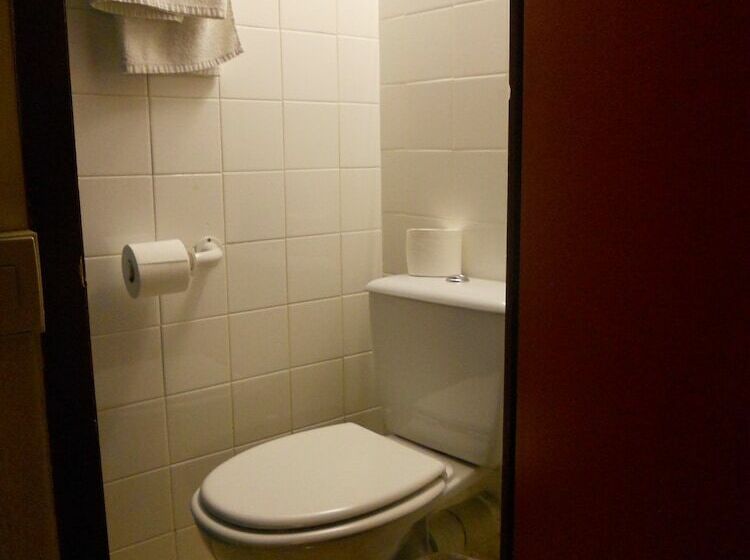 חדר סטנדרט יחיד, Hôtel De Lyon