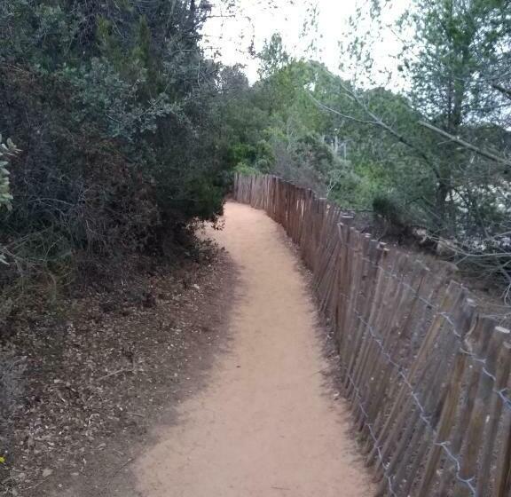 غرفة قياسية مطلّة علي حمام السباحة, Hôtel Les Palmiers