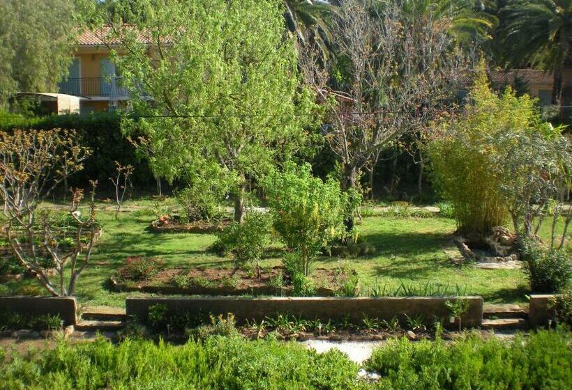 غرفة قياسية مطلّة علي الحديقة, Hôtel Les Palmiers