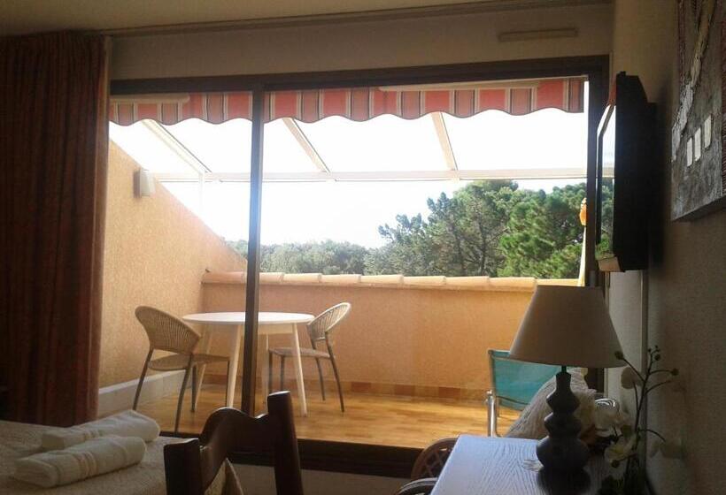 غرفة قياسية مزوَّدة بتراس, Hôtel Les Palmiers