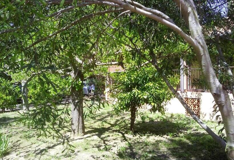 غرفة إقتصادية, Hôtel Les Palmiers