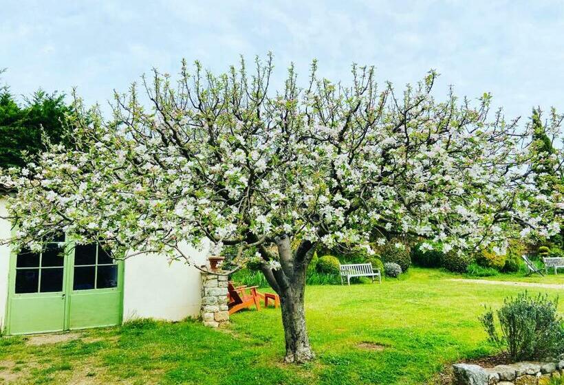 高级大房间, Le Relais Notre Dame