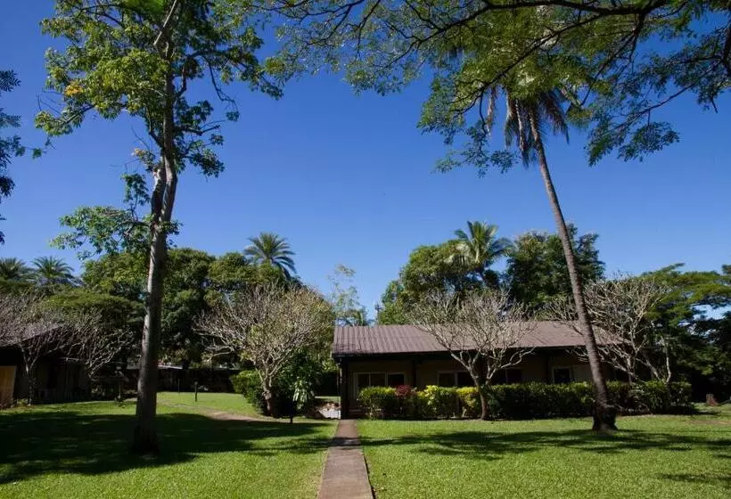 اتاق استاندارد, Tanoa Skylodge