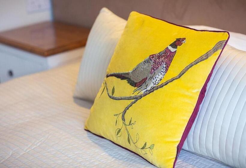 غرفة سوبيريور, Chester House