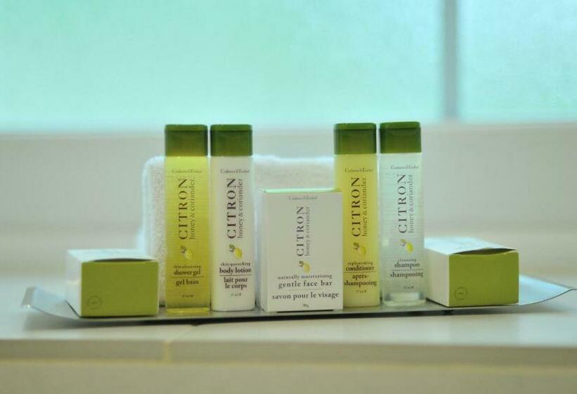 身障者適用スタンダードルーム, Doubletree By Hilton  London  Victoria