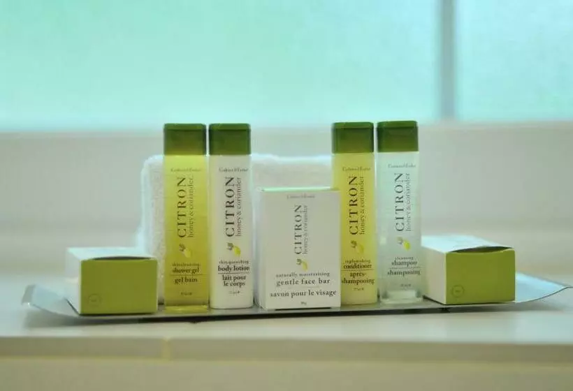 身障者適用スタンダードルーム, Doubletree By Hilton  London  Victoria