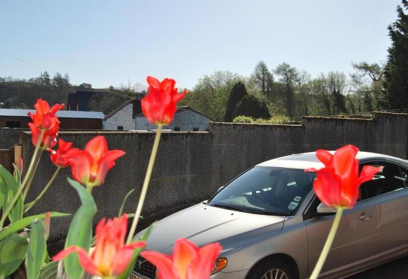 اتاق استاندارد در طبقه همکف, Falls Of Lora