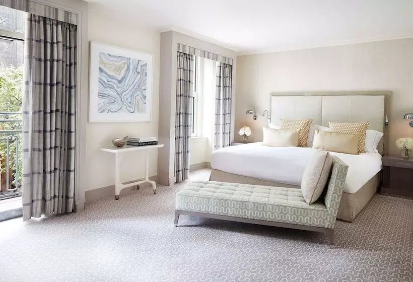 سوییت جونیور لوکس, The Berkeley, Maybourne