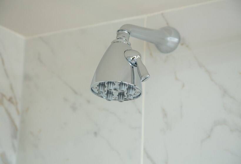 スタンダードルーム, The Falcon