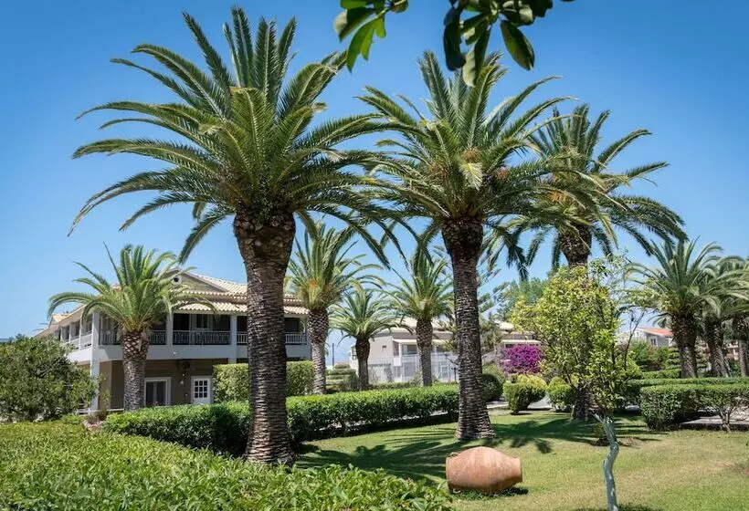 Estudi Estàndard Vista Jardí, Acharavi Beach
