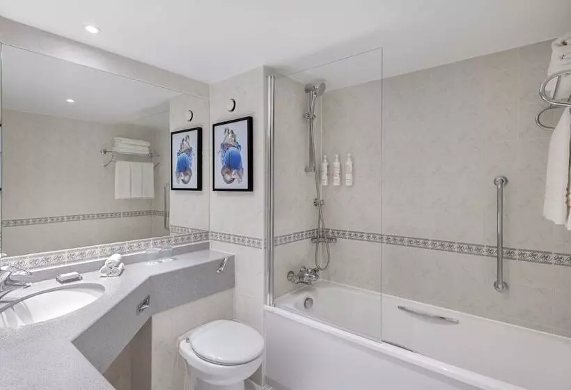 デラックスルーム, Delta Hotels By Marriott Heathrow Windsor