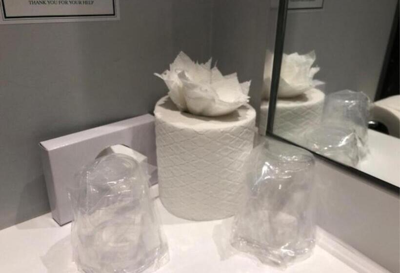 Номер Стандарт, King Robert