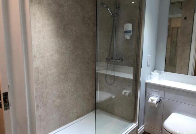 Номер Superior Вид на Парк, King Robert