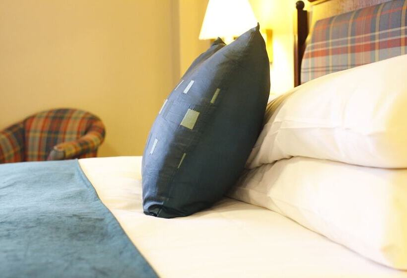 חדר סטנדרט יחיד, The Lion Hotel Shrewsbury