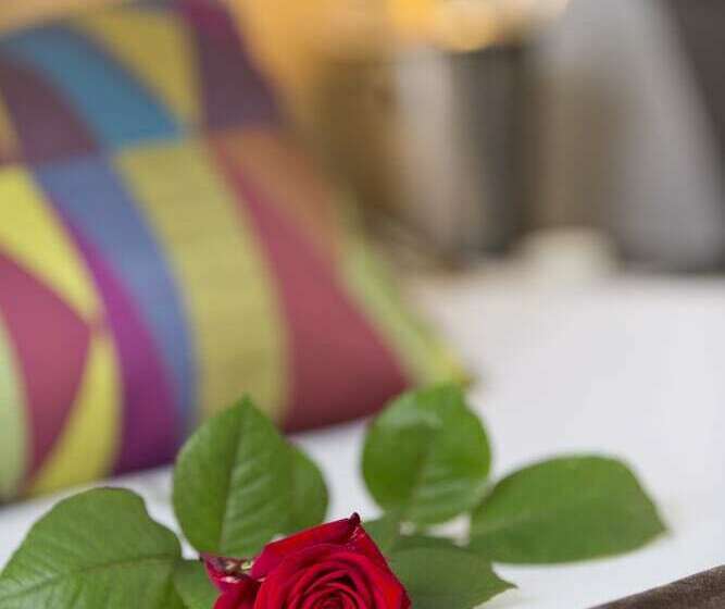 Номер Стандарт, Thistle London Bloomsbury Park