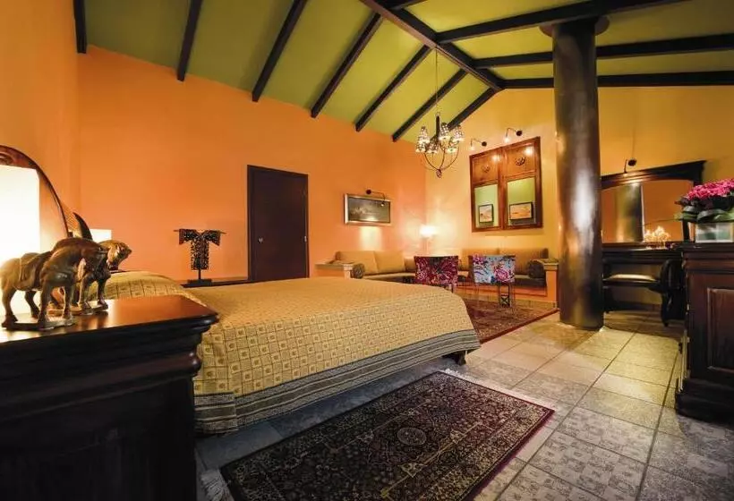 Junior Suite, Akti