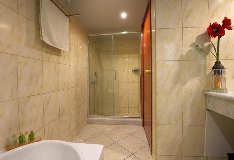 جناح مطل على البحيرة, Ariti Grand