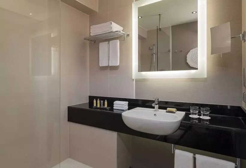 Manzaralı Delüks Oda, Budapest Marriott