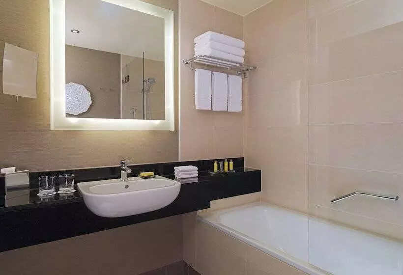 Manzaralı Delüks Oda, Budapest Marriott