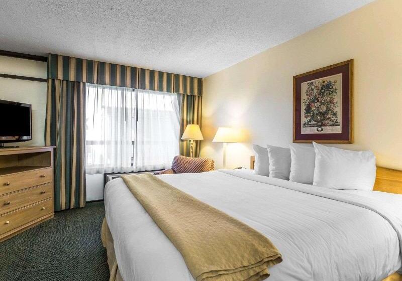 스탠다드 싱글 룸, Elite