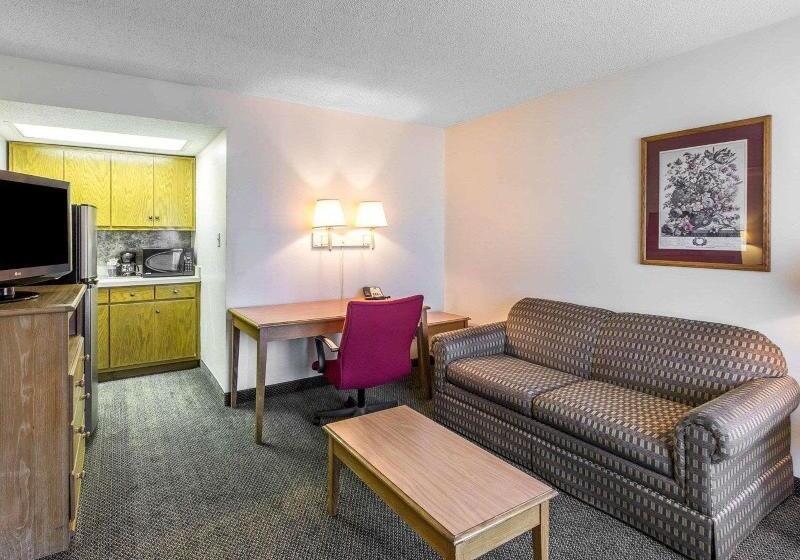 스탠다드 싱글 룸, Elite