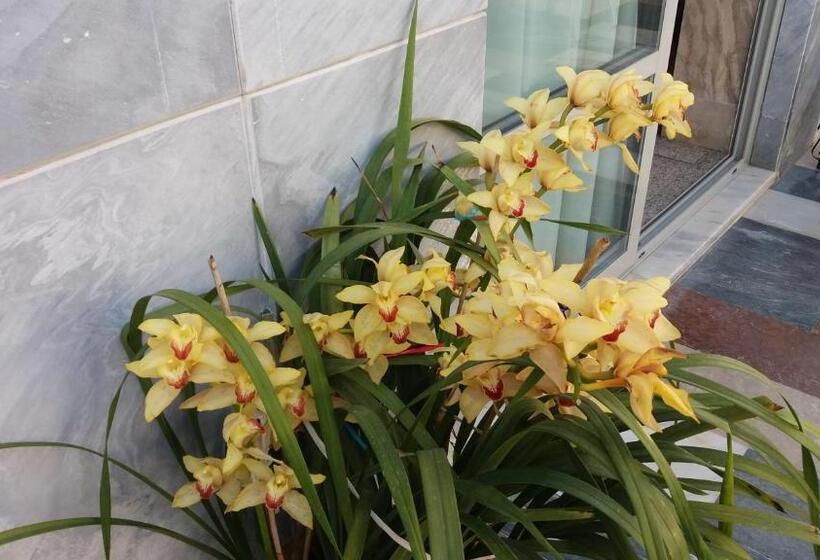 スタンダードトリプルルーム, Paritsa