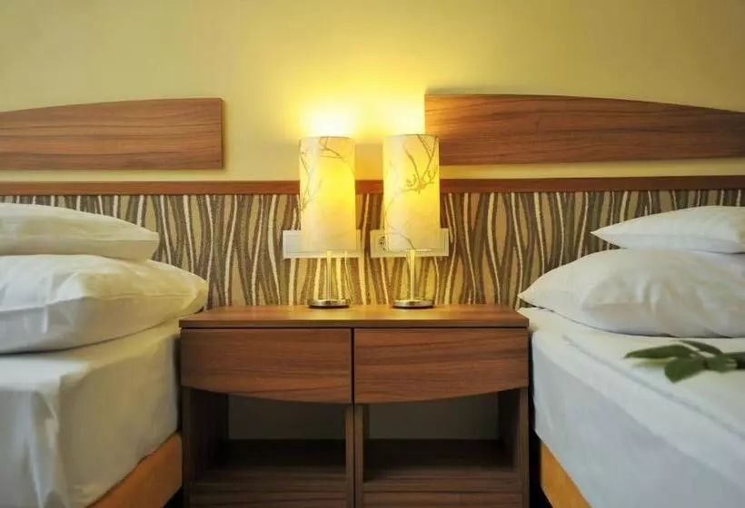 スタンダードルーム, Park Hotel Gyula