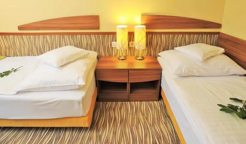 スタンダードルーム, Park Hotel Gyula