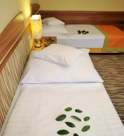 スタンダードルーム, Park Hotel Gyula