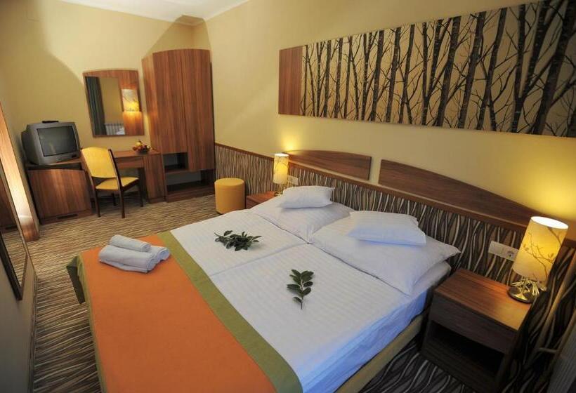 חדר סטנדרט, Park Hotel Gyula