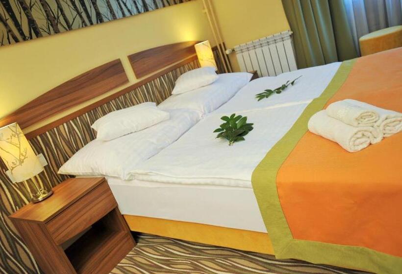 חדר סטנדרט, Park Hotel Gyula