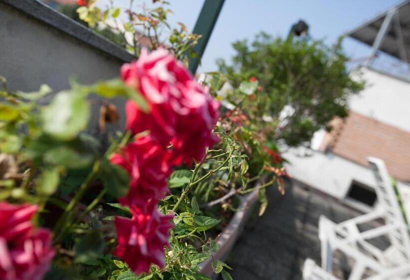 غرفة سوبيريور مزوَّدة بتراس, Rainero