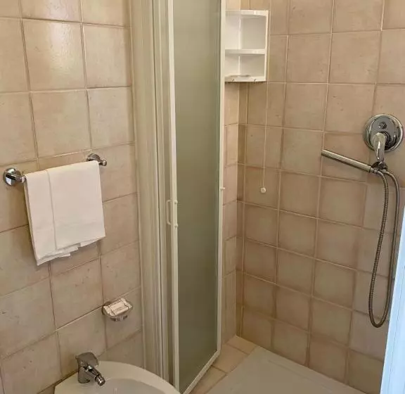 اتاق سوپریور یک تخته, Gfh Hotel Spiaggia D Oro