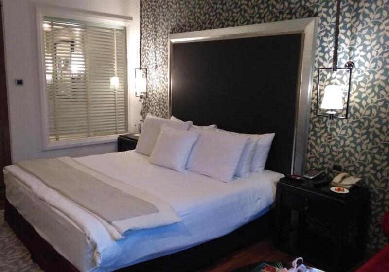 اتاق استاندارد, Grand Hotel Baglioni