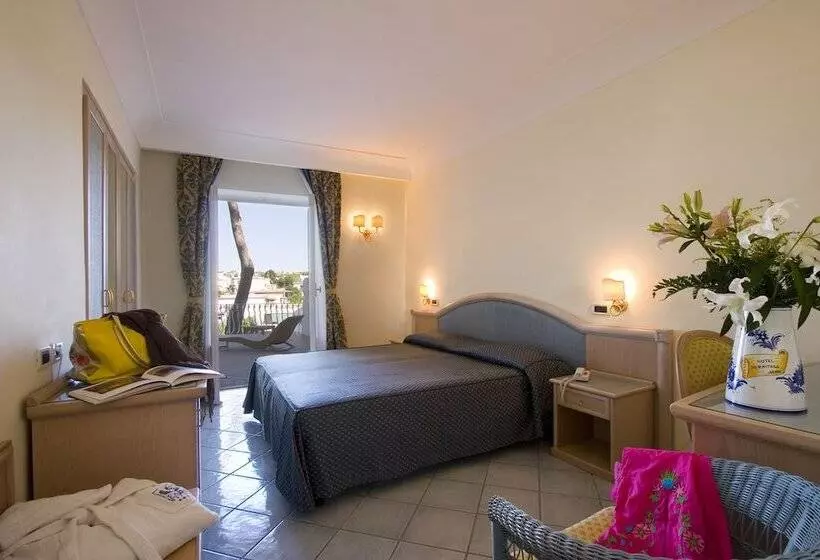 اتاق استاندارد یک نفره, Hermitage Resort & Thermal Spa
