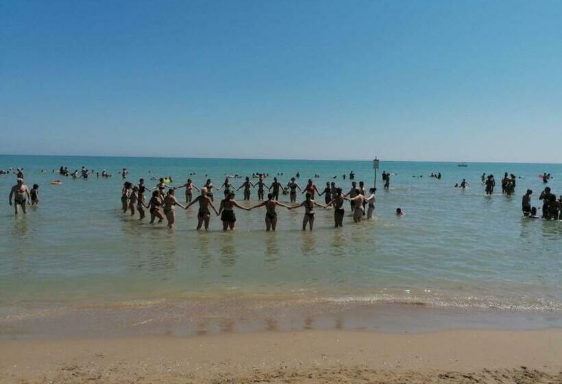 スタンダードシングルルーム, Zenit