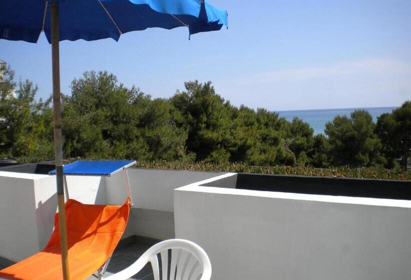 スタンダードルーム, Zenit