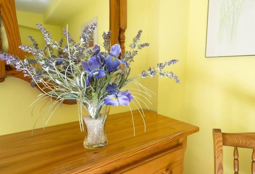 اتاق استاندارد چهار تخته, Iris