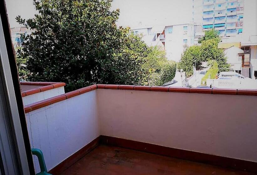 غرفة سوبيريور, Blumen