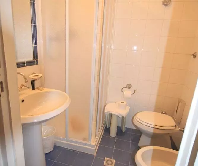 Classic Yhden Hengen Huone, Grand Hotel Royal