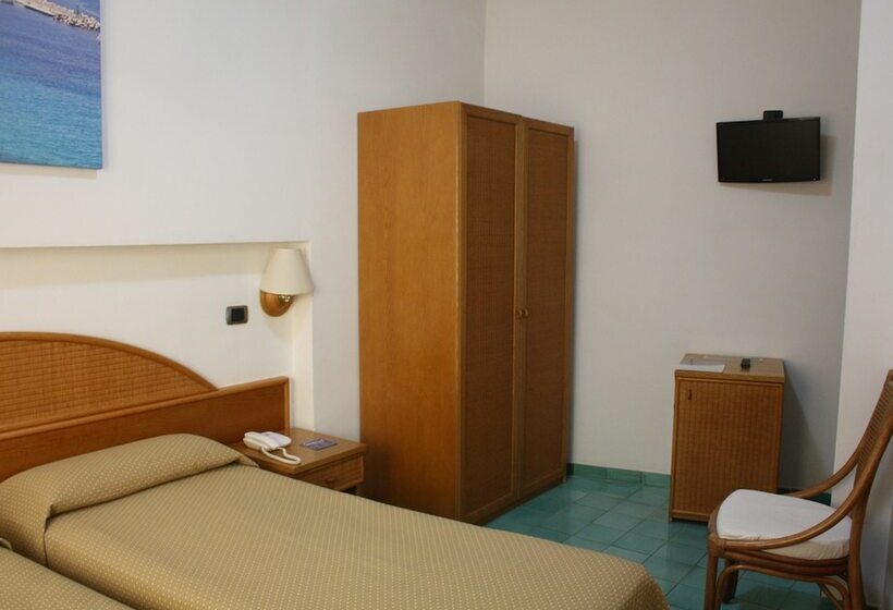 이코노미 룸, Sporting