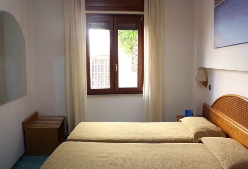 이코노미 룸, Sporting