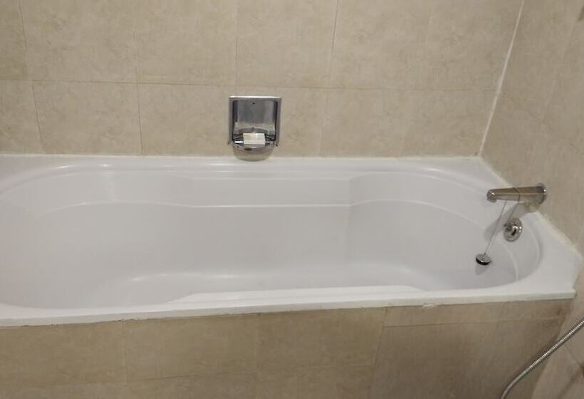 Классический Номер, Ambassador Pallava