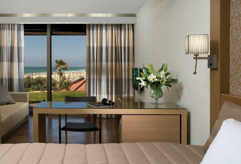 スタンダードルーム, Dan Accadia Herzliya