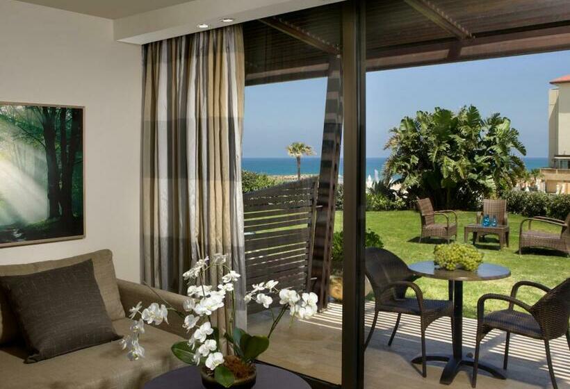 スタンダードルーム, Dan Accadia Herzliya