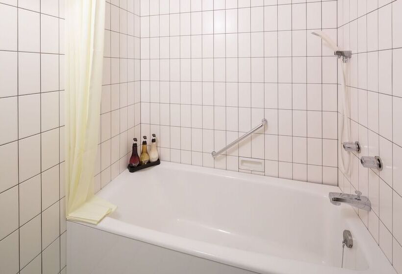 豪华房间, Hakuba Tokyu