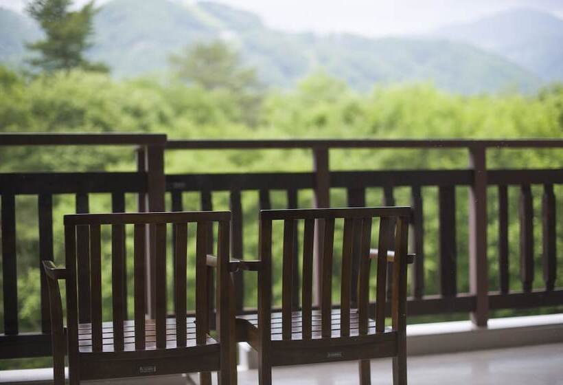 Номер Deluxe, Hakuba Tokyu