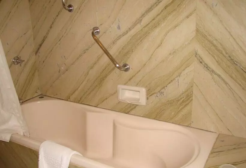プレミアムルーム, V Sarovar Portico Mi Road Jaipur