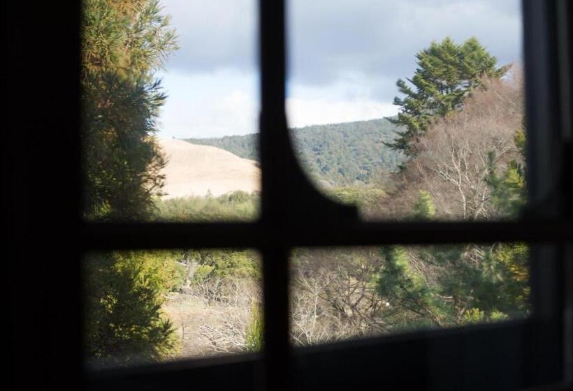 스탠다드 룸 공원 전망, Nara